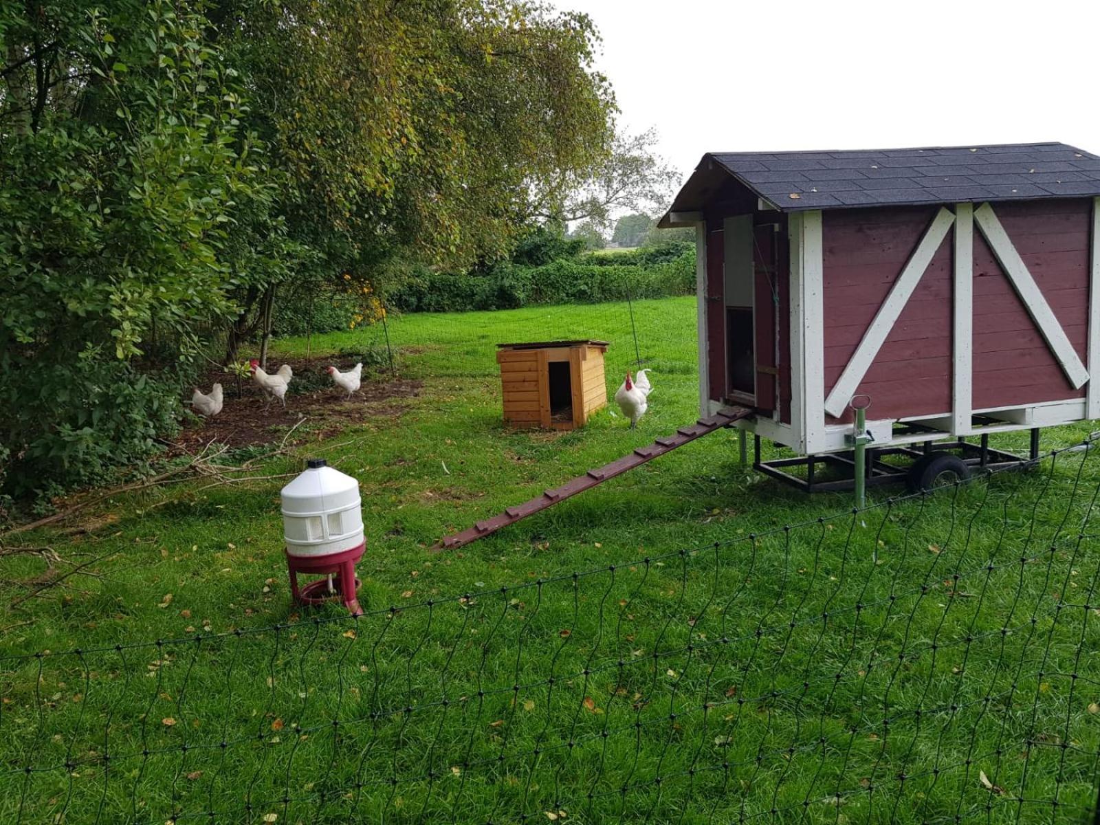 Neu! Landhaus Ostfriesenruhe Berumbur エクステリア 写真